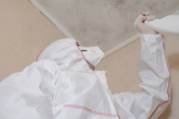 Best Environmental Consulting for Mold Prevention  in Westfield, PA